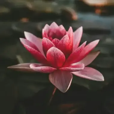 Visit Health & Wellness in Farmersville, Texas Visit Health & Wellness in Farmersville, Texas